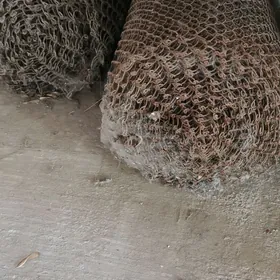 Setka Сетка, gus ketek un