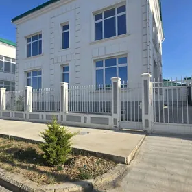 Gämi katez üzümçilik