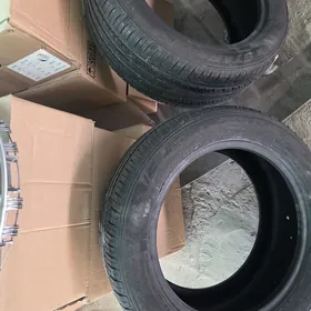 teker 205/55R16 2024