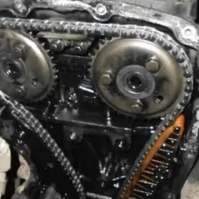 успокаитель шкифллер сеп бар