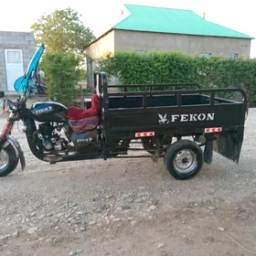 Fekon FK200-14G 2019