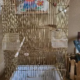 клетка для попугая