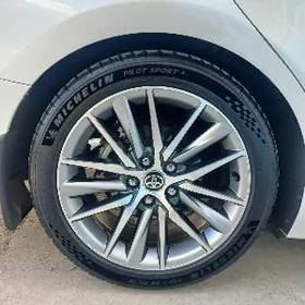 michlen plot sport 5