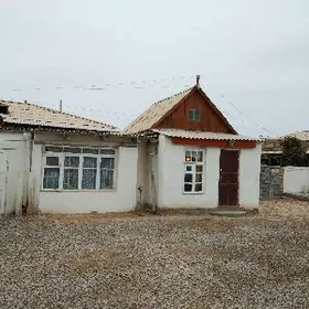 öý ( howly )