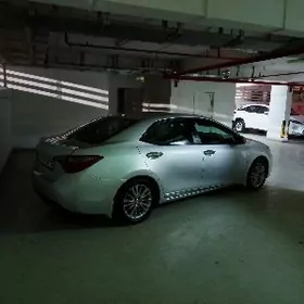 Toyota Corolla 2014