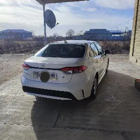 Toyota Corolla 2021