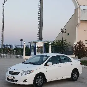 Toyota Corolla 2010
