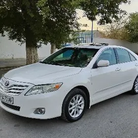 Toyota Camry 2010