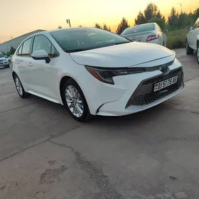 Toyota Corolla 2020
