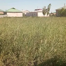 16 sotuk ýeriñ özi,