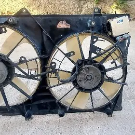 Wintelýator highlander morda