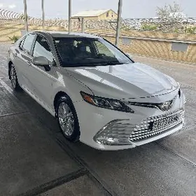 Toyota Camry 2023