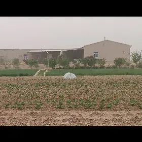 yer jay satlyk 50 sotk