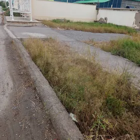 satlyk yer akdasayak pasyolka