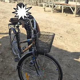 welsoped welik tigir