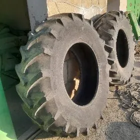Ayak