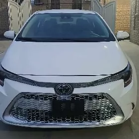 Toyota Corolla 2023