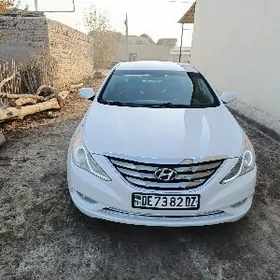 Hyundai Sonata 2010
