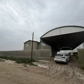 Mary Bayramaly howly