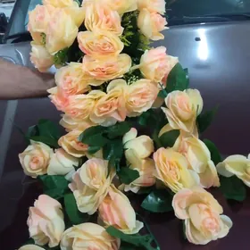 Той гуллери