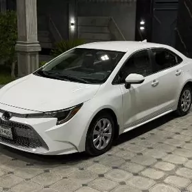 Toyota Corolla 2023