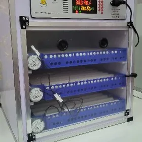 Inkubator 204. Инкубатор204