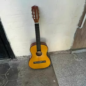 gitara
