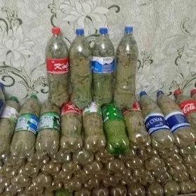 yaprak üzüm йапрак узум