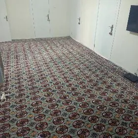 Satlk.  jaý.  Gurlşukda.  Ahal