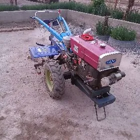 MTZ T-28 2019