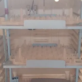 Inkubator Инкубатор