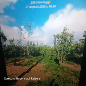 mellk yer kijrak jay satlk reş