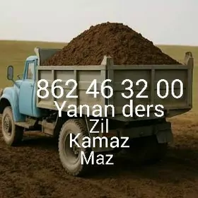 Elenen ders навоз gum myty  d