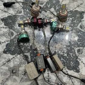 Let lampyçka we stop far