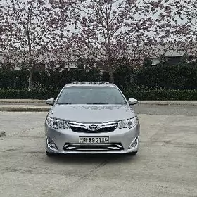Toyota Camry 2013