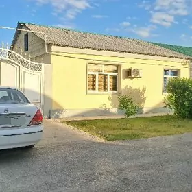 buzmeyin kruk plan jay