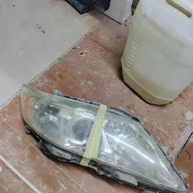 okuz keleokuz kelle far