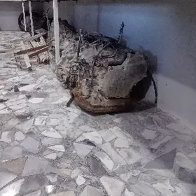 каропка карона