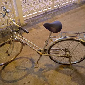 TİGİR....YAPOSKA....