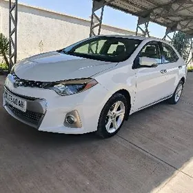 Toyota Corolla 2014