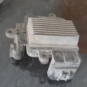 lopus weltelyatr matorjik