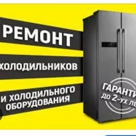 Holodilnik Remont ussa️
