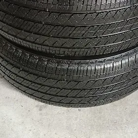 255/50/20/ Bredistone ýyly24