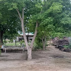 Satlyk 8 sotok ýer 40 ýyllyk