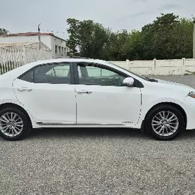 Toyota Corolla 2016