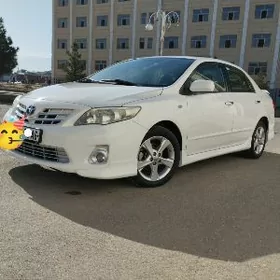 Toyota Corolla 2013