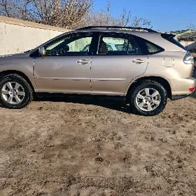 Lexus RX 330 2004