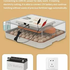 inkubator инкубатор 56 yumurt