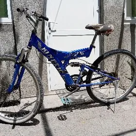 tigir gyssagly uly welik 26lyk