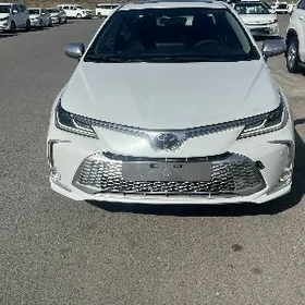 Toyota Corolla 2025